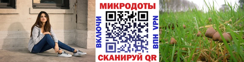 Псилоцибиновые грибы Psilocybe  Поворино 